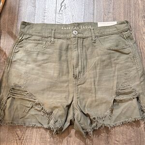 American Eagle Outfitters Green Distressed Jean Shorts